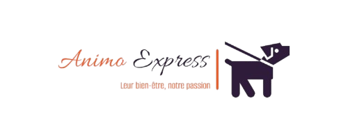 Animo Express